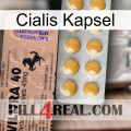 Cialis Capsule 41